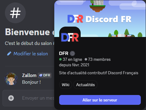 Tags de serveurs Discord avec profil
